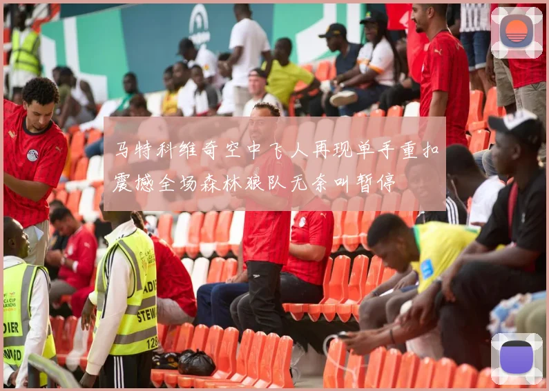 马特科维奇空中飞人再现单手重扣震撼全场森林狼队无奈叫暂停