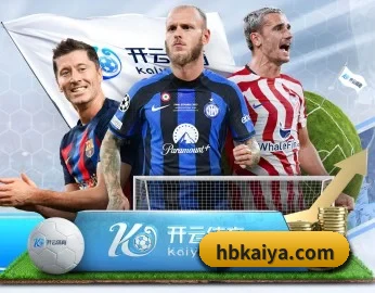开云app登陆入口的故事